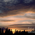 February Sky Photograph by Rory Siegel February Sky Photograph by Rory Siegel