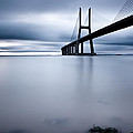 Feeling Blue by Jorge Maia Feeling Blue by Jorge Maia