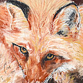 Feeling Foxy by Cori Solomon Feeling Foxy by Cori Solomon