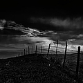 Fence Line Photograph by Theresa Tahara Fence Line Photograph by Theresa Tahara