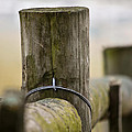 Fence Post Photograph by Kerri Farley Fence Post Photograph by Kerri Farley