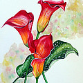 Fiery Callas by Karin Dawn Kelshall- Best Fiery Callas by Karin Dawn Kelshall- Best