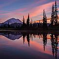 Fiery Rainier Sunset by Mike Reid Fiery Rainier Sunset by Mike Reid