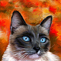 Fire And Ice - Siamese Cat Painting by Michelle Wrighton