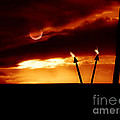 Fire Light Photograph by Micki Findlay Fire Light Photograph by Micki Findlay