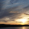 Firth of Forth in the sunset Photograph by Elena Perelman Firth of Forth in the sunset Photograph by Elena Perelman