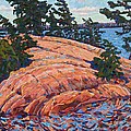 Flagging Pines by Phil Chadwick