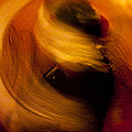 Flamenco Series 16 by Catherine Sobredo