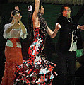 Flamenco Series No 13 by Mary Machare Flamenco Series No 13 by Mary Machare