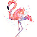 Flamingo Watercolor Painting by Olga Shvartsur Flamingo Watercolor Painting by Olga Shvartsur