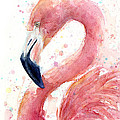 Flamingo Watercolor Painting Painting by Olga Shvartsur Flamingo Watercolor Painting Painting by Olga Shvartsur