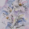 Fleurs by Heather Gallup Fleurs by Heather Gallup