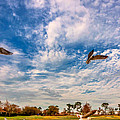 Flight School by Steve Harrington Flight School by Steve Harrington