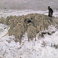 Flock Of Sheep In The Snow Painting by Anton Mauve