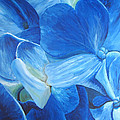 Flora Series-Number 6 Painting by Jim Harper Flora Series-Number 6 Painting by Jim Harper