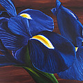 Flora Series-Number 9 Painting by Jim Harper Flora Series-Number 9 Painting by Jim Harper