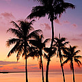 Florida Breeze Photograph by Chad Dutson Florida Breeze Photograph by Chad Dutson