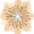 Flower Mandala 2 Mixed Media by Michelle Bien Flower Mandala 2 Mixed Media by Michelle Bien