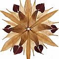 Flower Mandala 4 Mixed Media by Michelle Bien Flower Mandala 4 Mixed Media by Michelle Bien