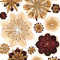 Flower Petal Composition 3 Photograph by Michelle Bien Flower Petal Composition 3 Photograph by Michelle Bien