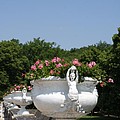 Flowerpots In A Row - Chateau Chenonceau by Christiane Schulze Art And Photography Flowerpots In A Row - Chateau Chenonceau by Christiane Schulze Art And Photography