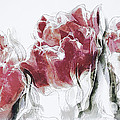French Country Roses Painting by Shanina Conway French Country Roses Painting by Shanina Conway