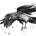 Flying Raven Watercolor Painting by Olga Shvartsur Flying Raven Watercolor Painting by Olga Shvartsur