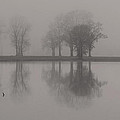 Fog and Fishing Eagle Photograph by Deborah Smith