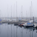 Fog in Marina I Photograph by Elena Perelman Fog in Marina I Photograph by Elena Perelman