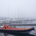 Fog in Marina II Photograph by Elena Perelman Fog in Marina II Photograph by Elena Perelman
