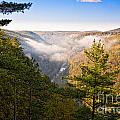 Fog over the Canyon Photograph by Ronald Lutz Fog over the Canyon Photograph by Ronald Lutz