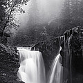 Foggy Falls Photograph by Darren White Foggy Falls Photograph by Darren White
