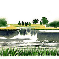 Foggy Salt Marsh Cape Cod Painting by Paul Gaj Foggy Salt Marsh Cape Cod Painting by Paul Gaj