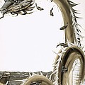 Folk Stories Of America Sea Serpent by Richard Hook Folk Stories Of America Sea Serpent by Richard Hook