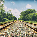 Follow The Tracks Photograph by Bill and Linda Tiepelman Follow The Tracks Photograph by Bill and Linda Tiepelman
