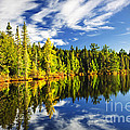 Forest reflecting in lake Photograph by Elena Elisseeva Forest reflecting in lake Photograph by Elena Elisseeva