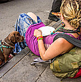French Quarter - Pizza Puppy by Steve Harrington French Quarter - Pizza Puppy by Steve Harrington