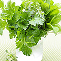 Fresh Herbs In A Glass by Elena Elisseeva Fresh Herbs In A Glass by Elena Elisseeva