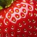Fresh Strawberry Close-up by Johan Swanepoel Fresh Strawberry Close-up by Johan Swanepoel