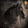 Friesian Glow Digital Art by Fran J Scott Friesian Glow Digital Art by Fran J Scott
