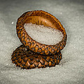Frozen Acorn Cupule Photograph by Paul Freidlund Frozen Acorn Cupule Photograph by Paul Freidlund