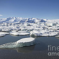 Frozen Paradise by Evelina Kremsdorf Frozen Paradise by Evelina Kremsdorf