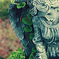 Garden Angel Photograph by Micki Findlay Garden Angel Photograph by Micki Findlay