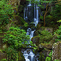 Garden Falls Photograph by Darren White Garden Falls Photograph by Darren White