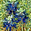 Garden Jewels I Painting by Hailey E Herrera Garden Jewels I Painting by Hailey E Herrera
