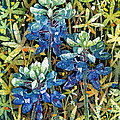 Garden Jewels II Painting by Hailey E Herrera Garden Jewels II Painting by Hailey E Herrera