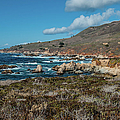 Garrapata State Park Photograph by George Buxbaum Garrapata State Park Photograph by George Buxbaum