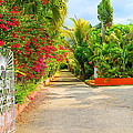 Gateway To Jamaica by Debbie Levene Gateway To Jamaica by Debbie Levene