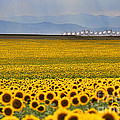 Gateway to the Rockies Photograph by Jim Garrison Gateway to the Rockies Photograph by Jim Garrison