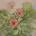 Gerbera by Heather Gallup Gerbera by Heather Gallup